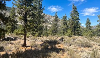130 Chamberlain Ct Lot 189, Carson City, NV 89705