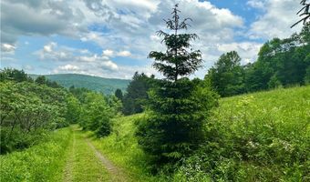 515 Delaware Ave, Andes, NY 13731