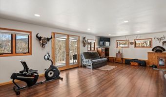 238 Hawk Ln, Basalt, CO 81621