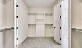 12064 STROMNESS Cv, Arlington, TN 38002