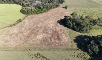 Battles Road lot 5, Ashford, AL 36312