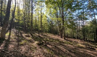 East River Road lot 5, Andes, NY 13731