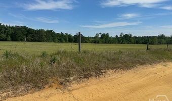 2905 Donald Cobb Rd, Bartow, GA 30413
