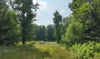 3 38 Acres County F Rd, Antigo, WI 54409
