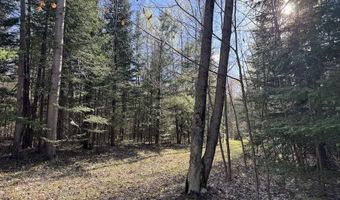 V/L Wildwood Road lot 9, Alger, MI 48610
