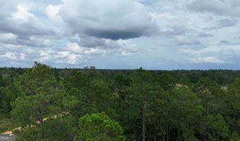 1025 Old Dairy Rd, Ailey, GA 30410