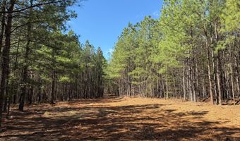 MOUNTAIN CUT RD lot D, Appomattox, VA 24522