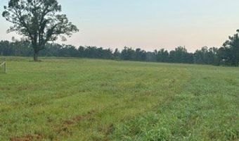 447 CR 215, Abbeville, MS 38601