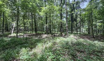 Pine Lodge Road, Batesville, MS 38606