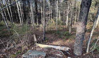 0 National Forest Dr 132, Collettsville, NC 28611