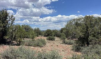 61 Colt Ct Ne4 Rd, Ash Fork, AZ 86320