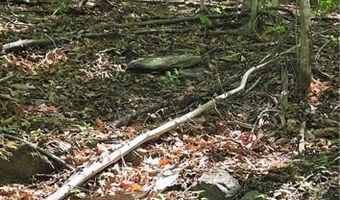 Goose Creek Lane, Ararat, VA 24053
