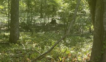 Bolivar Road, Benoit, MS 38725