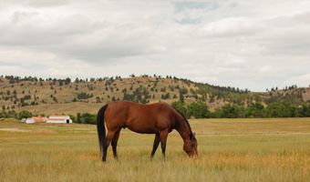 Robinson Road, Belle Fourche, SD 57717