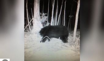 V/L S M-33, Alger, MI 48610