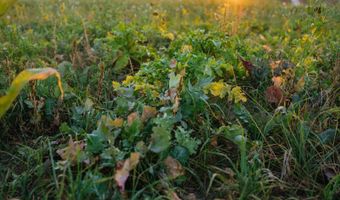 0000 450th Rd, Bassett, NE 68714