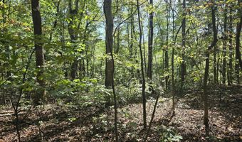 HURT HOLLOW RD, Banco, VA 22711