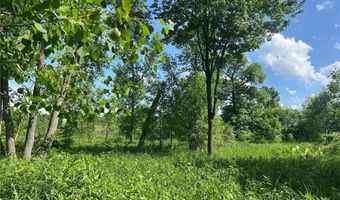 Tbd 250th Street, Aitkin, MN 56431