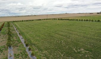 906 7th St NW, Bowman, ND 58623