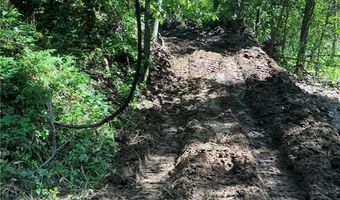 N3953-201 Bear Pen Road, Arkansaw, WI 54721