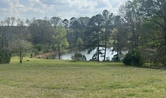 75 MARY LEE Ln, Alpine, AL 35014