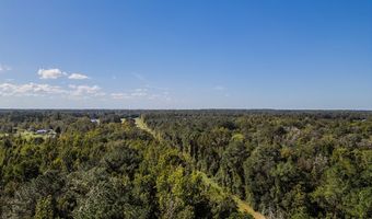 State Rd 121, Alachua, FL 32615