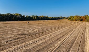 3431 Gladys Ct, Albany, GA 31705