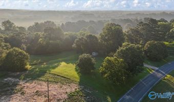 2097 Needmore Rd, Albertville, AL 35950