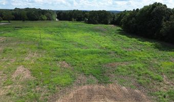 Lower Big Sandy Road, Big Sandy, TN 38221