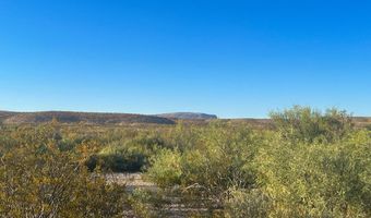 25-3 S Hwy 118, Alpine, TX 79830