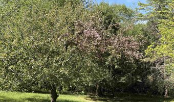 1250 Braintree Hill Rd, Braintree, VT 05060
