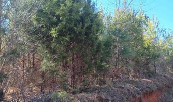 1163 Juneberry Rd, Camden, SC 29020
