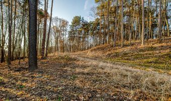 3669 Buttrick Ave SE, Ada, MI 49301