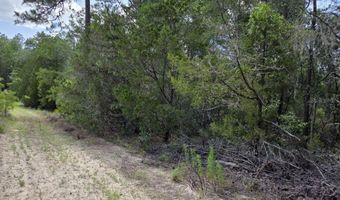NE 95TH Street, Archer, FL 32618