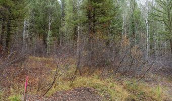 Lot 24 TRAIL RIDGE Road, Alpine, WY 83128