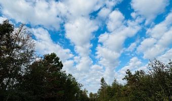 644 Ash-harrel Loop, Abbeville, GA 31001