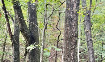 Jesse Run Rd, Arnoldsburg, WV 25234