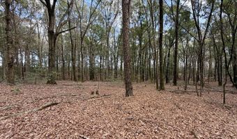 County Road 72, Ariton, AL 36311