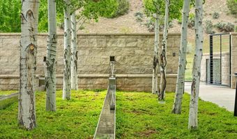 295 Aspen Valley Ranch Rd, Woody Creek, CO 81656