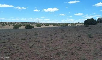 Tbd Ranch of the White Mountains, Concho, AZ 85924