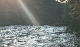 198 Poudre River Rd, Bellvue, CO 80512