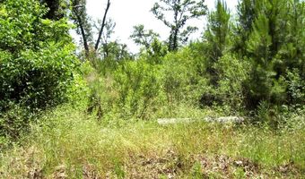 1131 LR 35, Ashdown, AR 71822