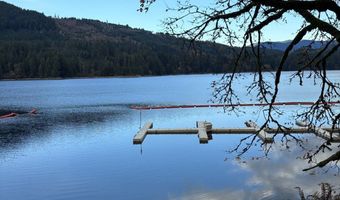 24706 NE Columbia Tie Rd 11-9, Amboy, WA 98601