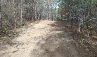 334 SERENITY Ln Lot 1, Alpine, AL 35014