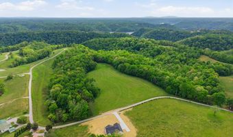 11100 H O Allison Rd, Baxter, TN 38544