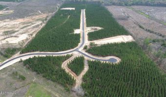 728 Freedom Ridge Ln Lot 22, Brandon, MS 39047