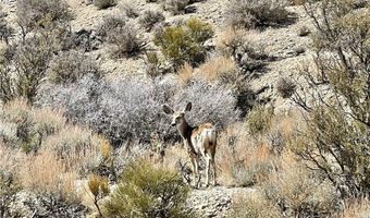 4 Camp Bonanza Rd, Cold Creek, NV 89124