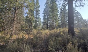 Cathy Way lot 21-23, Beatty, OR 97621