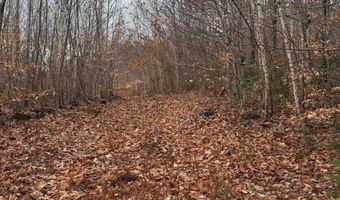 M5/L27 Pond Road, Abbot, ME 04406