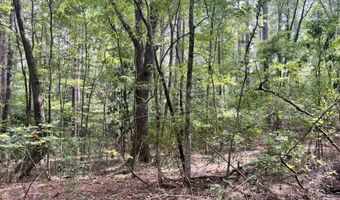 Brock Cir, Brandon, MS 39042